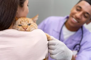 Жена прегръща рижава котка при лекар