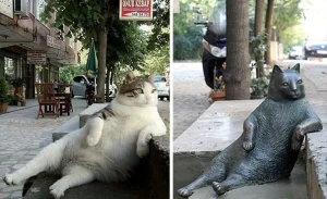 статуята на котка в Истанбул